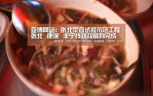 亚博网站:张北柔直试验示范工程张北-康保-丰宁线路段顺利完成参数测试(图1) 亚博官网