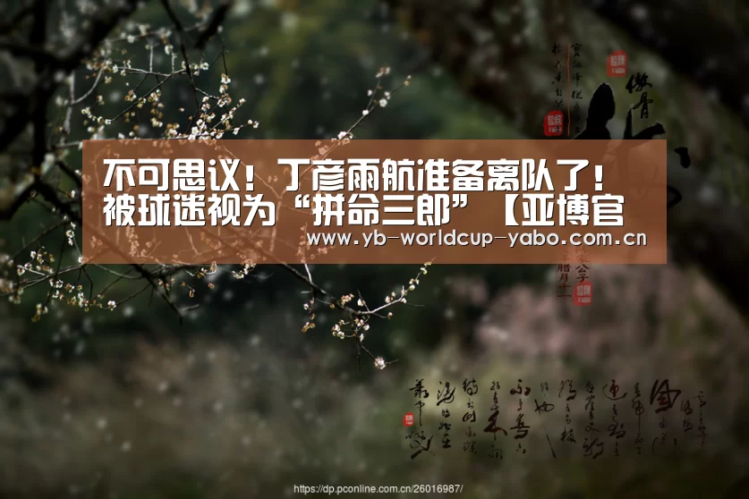 不可思议!丁彦雨航准备离队了!被球迷视为“拼命三郎”【亚博官网】(图1) 亚博网站