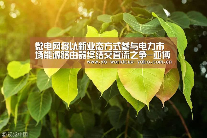 亚博网站