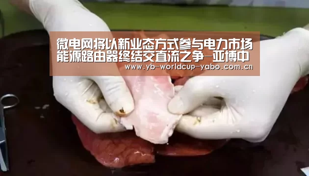 亚博中国官网