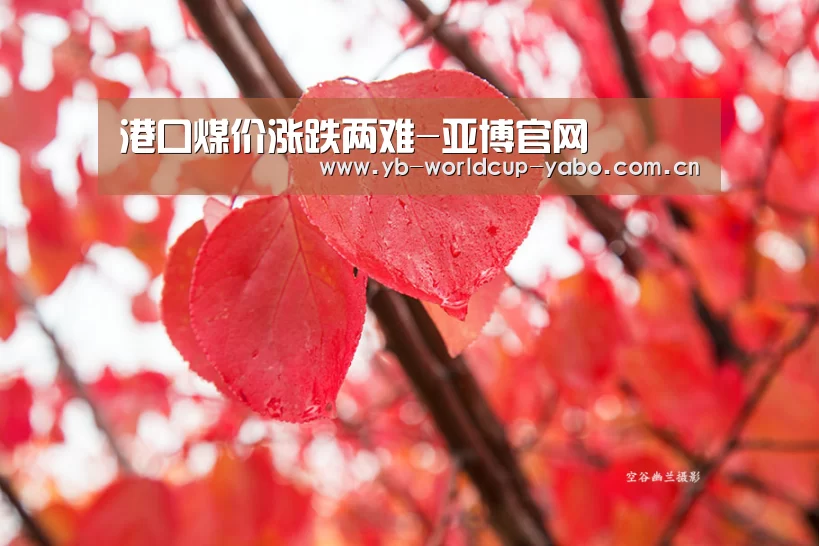 港口煤价涨跌两难-亚博官网(图2) 亚博官网