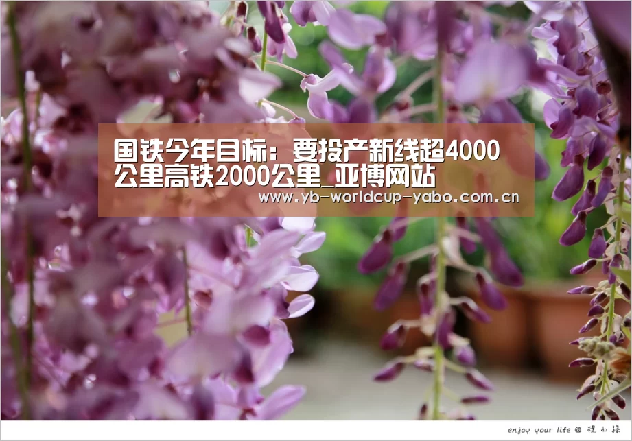 国铁今年目标:要投产新线超4000公里高铁2000公里_亚博网站(图3) 亚博官网